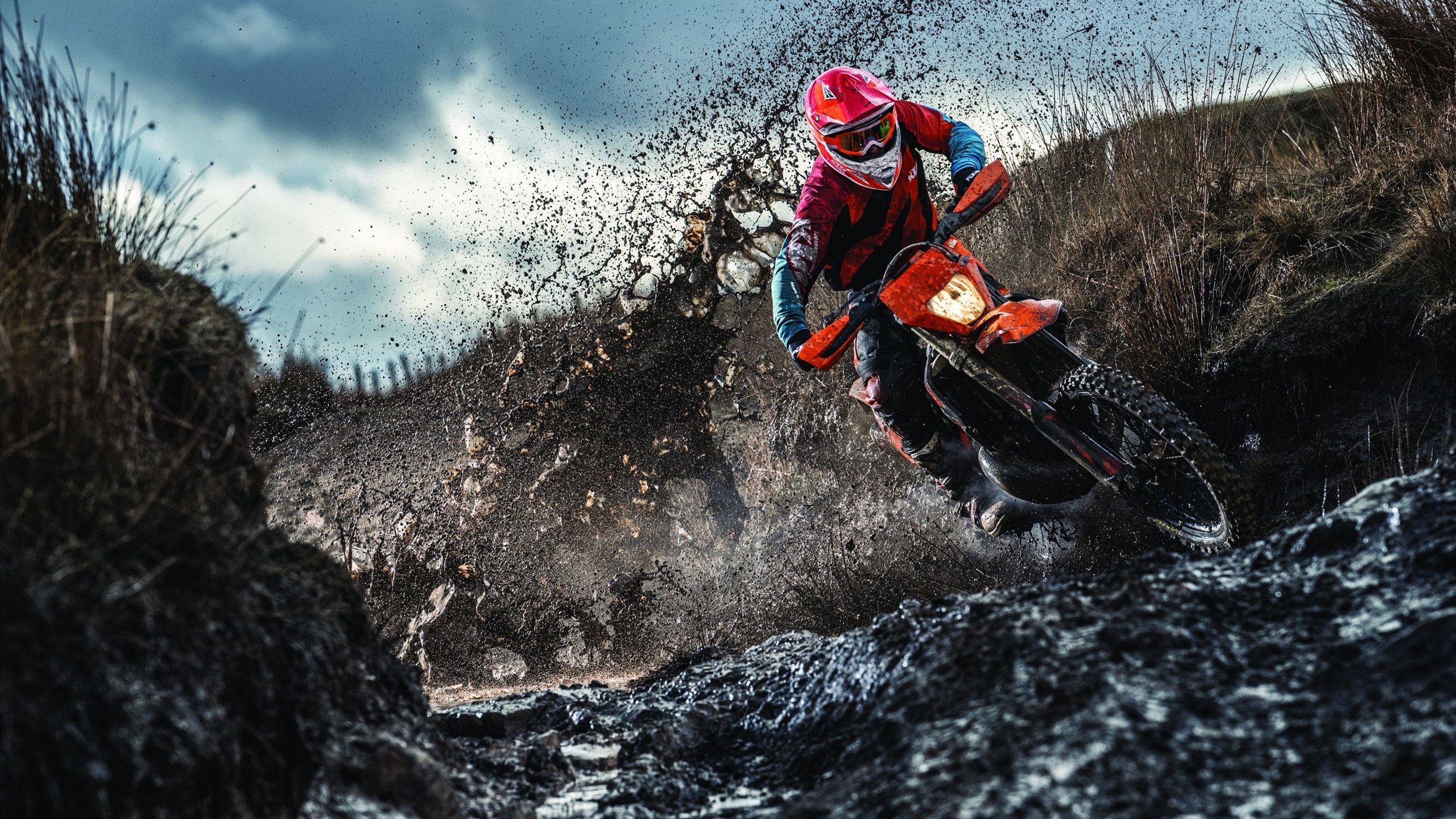 国王引进数据科技优化战术布置